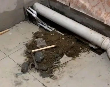 进贤卫生间漏水检测哪家好